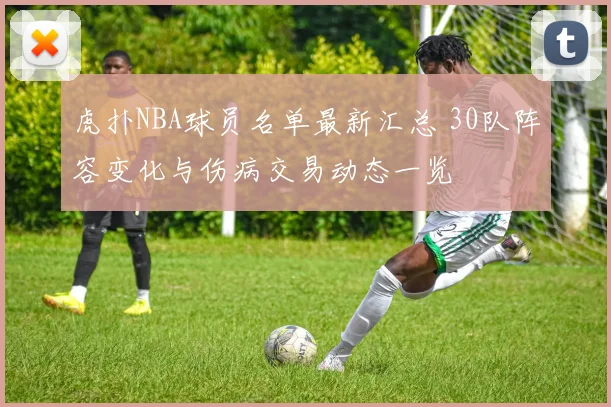 虎扑NBA球员名单最新汇总 30队阵容变化与伤病交易动态一览