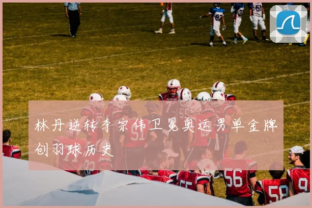 林丹逆转李宗伟卫冕奥运男单金牌创羽球历史