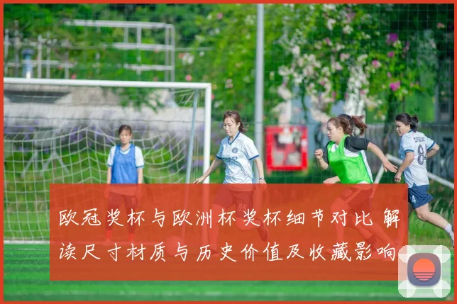 欧冠奖杯与欧洲杯奖杯细节对比 解读尺寸材质与历史价值及收藏影响