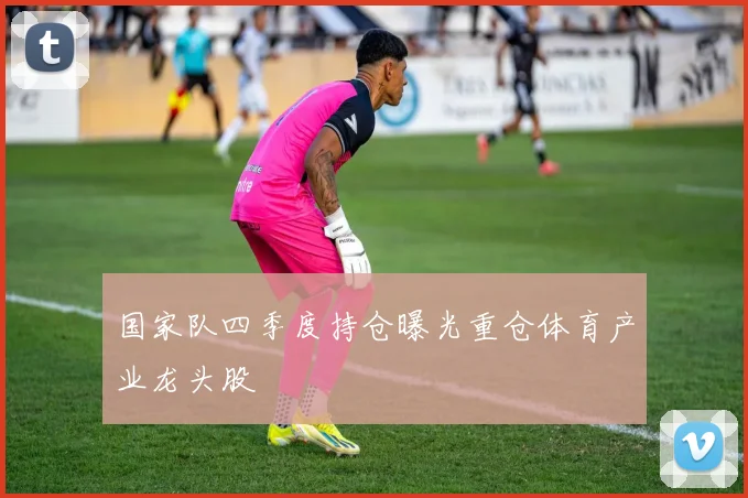 国家队四季度持仓曝光重仓体育产业龙头股