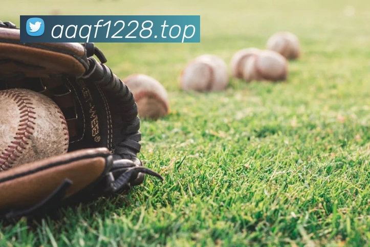 冠竞体育官网平台生态图